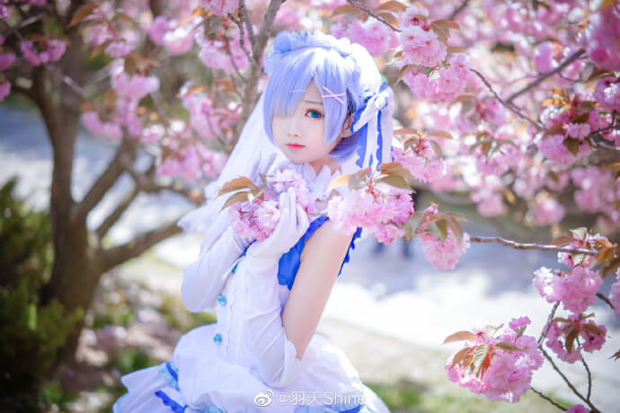 【COS正片】从零开始蕾姆花嫁cos,美萌可爱 cn羽天Shine - 第3张 - 机器猫次元 【COS正片】从零开始蕾姆花嫁cos,美萌可爱 cn羽天Shine - 第3张 - 机器猫次元