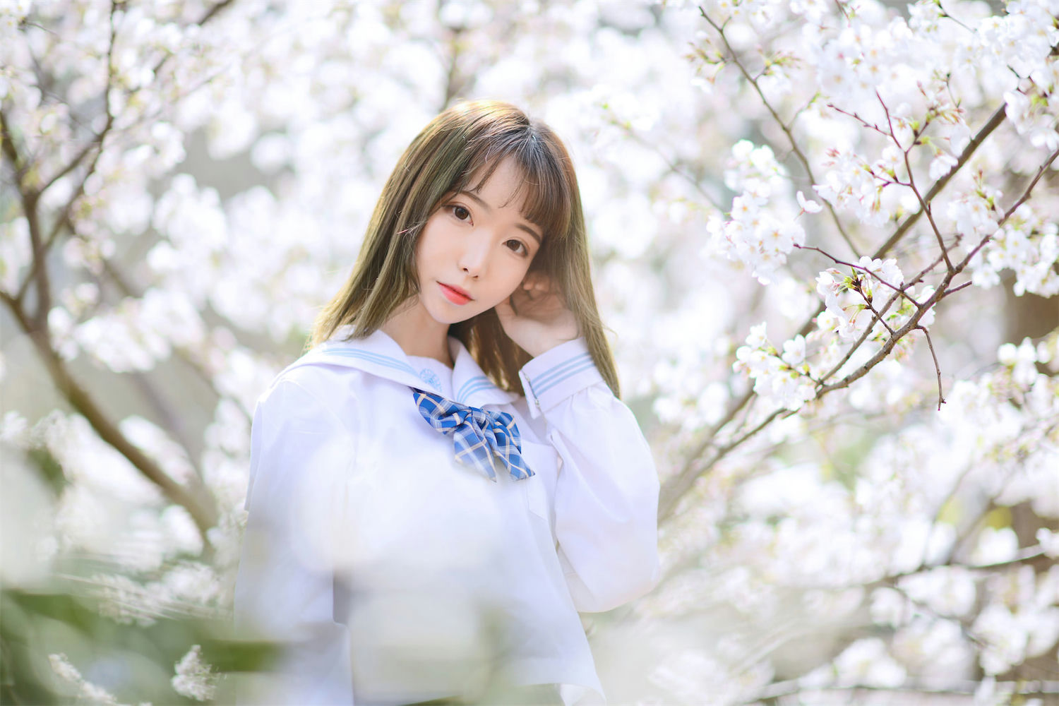 Fushii_海堂 - 樱花树下 [41P] - 第2张 - 机器猫次元