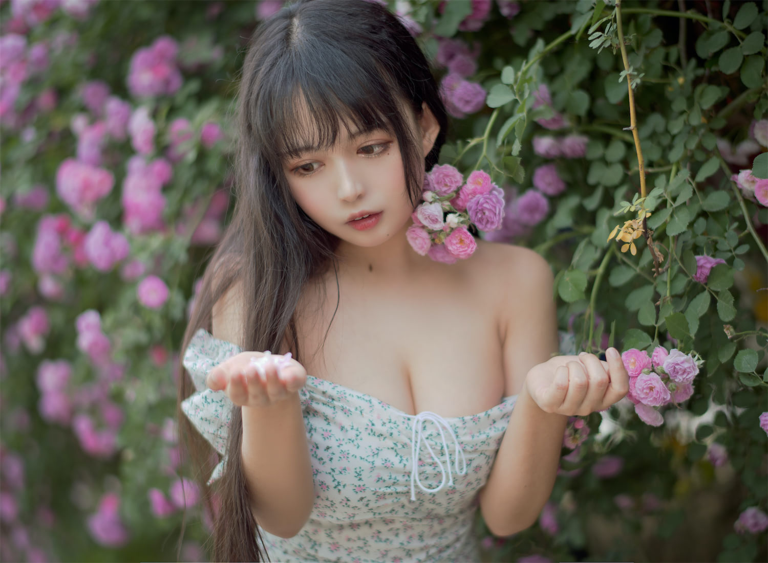 黑猫猫OvO - 蔷薇 [48P] - 第2张 - 机器猫次元
