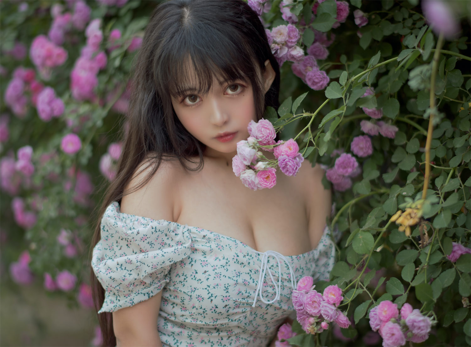 黑猫猫OvO - 蔷薇 [48P] - 第3张 - 机器猫次元