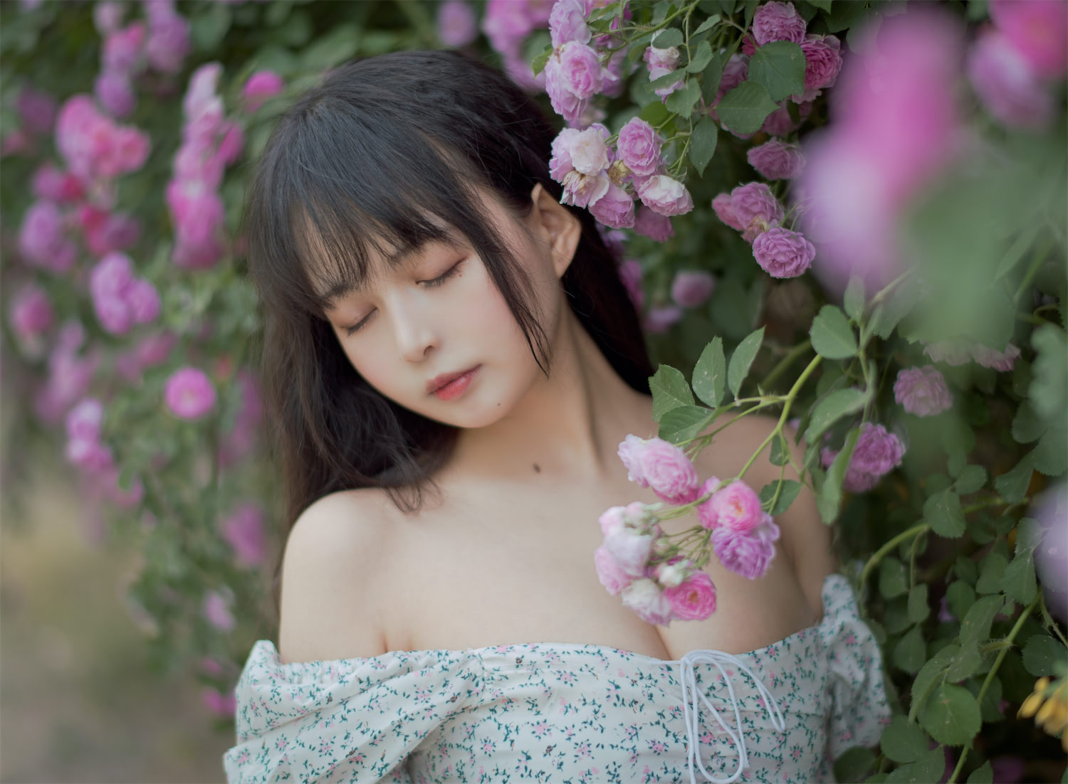 黑猫猫OvO - 蔷薇 [48P] - 第4张 - 机器猫次元