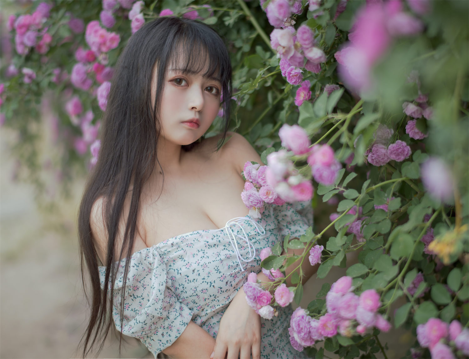 黑猫猫OvO - 蔷薇 [48P] - 第5张 - 机器猫次元