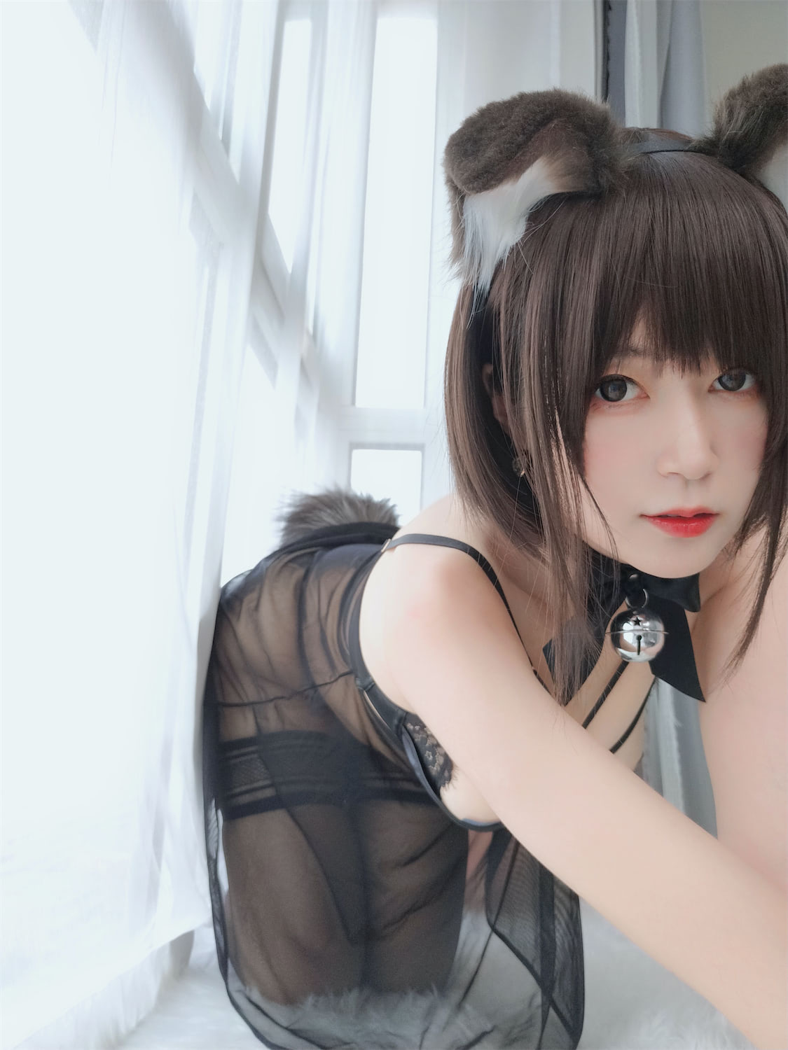 白银81 - 折耳犬 [107P] - 第1张 - 机器猫次元