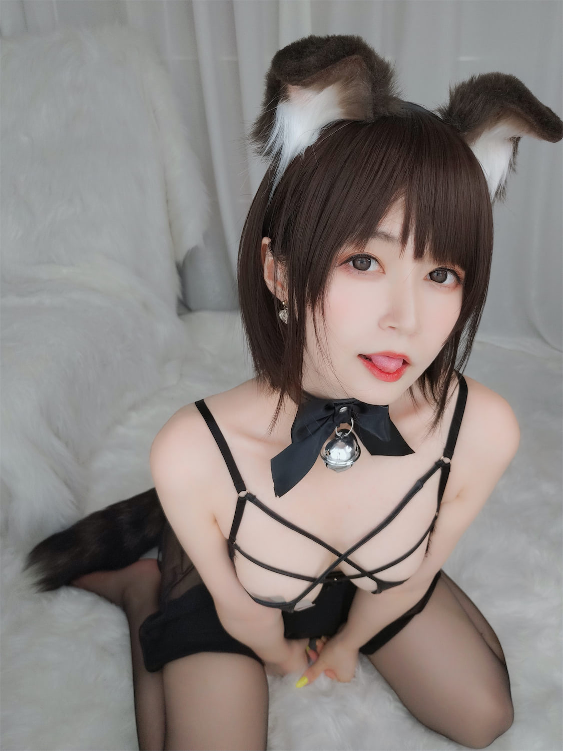 白银81 - 折耳犬 [107P] - 第2张 - 机器猫次元
